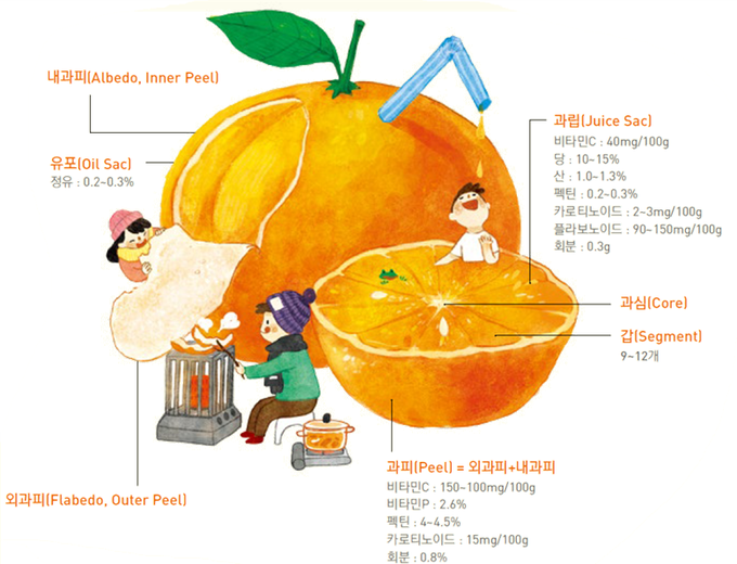 사진=농촌진흥청