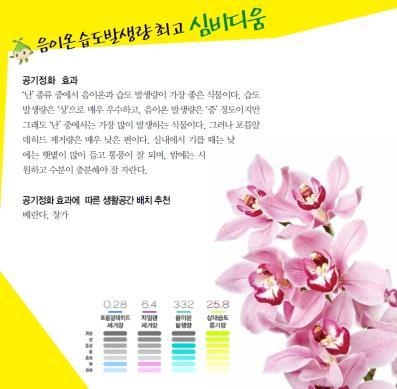 사진=농촌진흥청/음이온 습도발생량 최고 심비디움