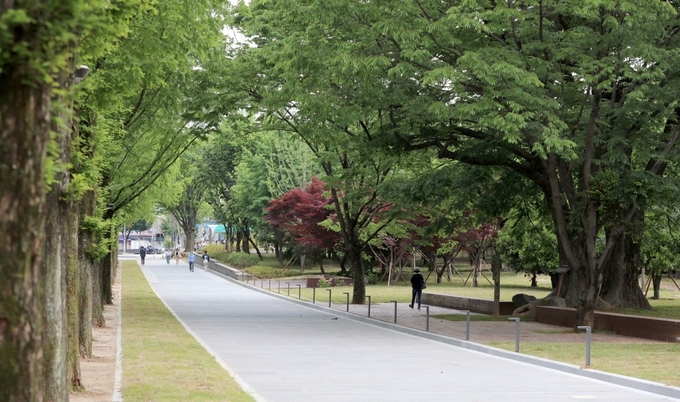 사진=전남대학교/민주대로