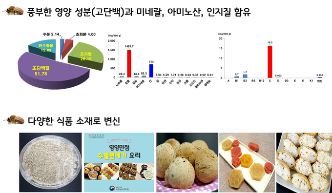 사진=농촌진흥청/수벌 번데기란?