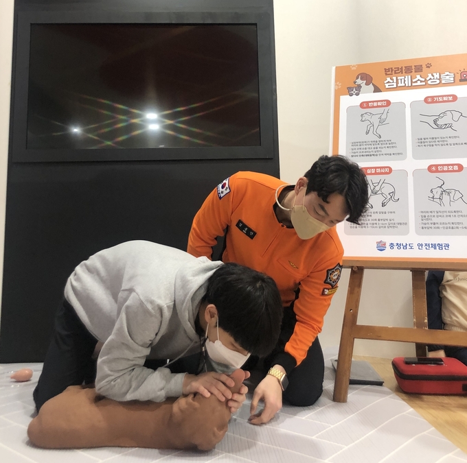 사진=충남소방본부/반려동물 심폐소생술 교육