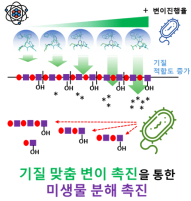 사진=과기정통부/플라스틱(PVC 등)고속생분해 미생물표