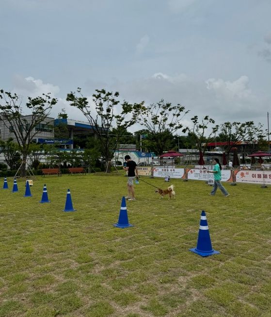 연수구, 반려견순찰대 ‘연수지킴댕댕이’ 전문가 현장심사