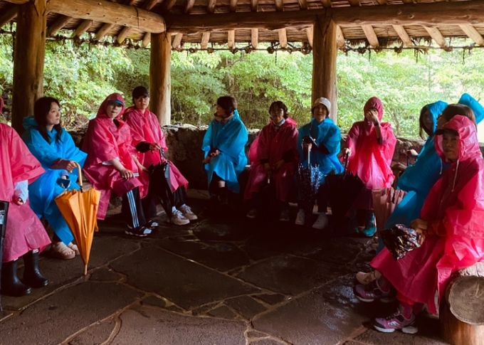 2024년 생태환경교육 주제선택형 직무연수(생태감수성편)