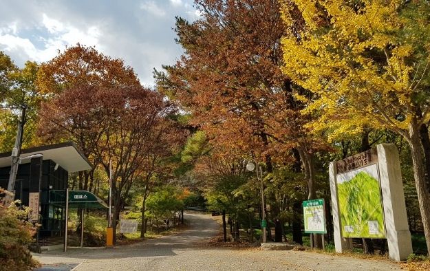 토함산자연휴양림 전경