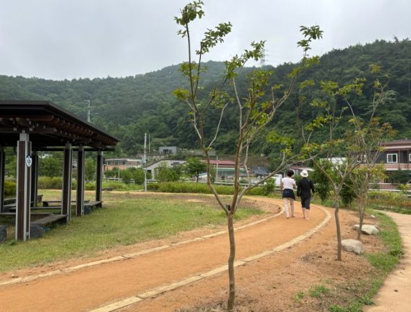 산수동·내남동 공원에 ‘맨발걷는 길’ 조성