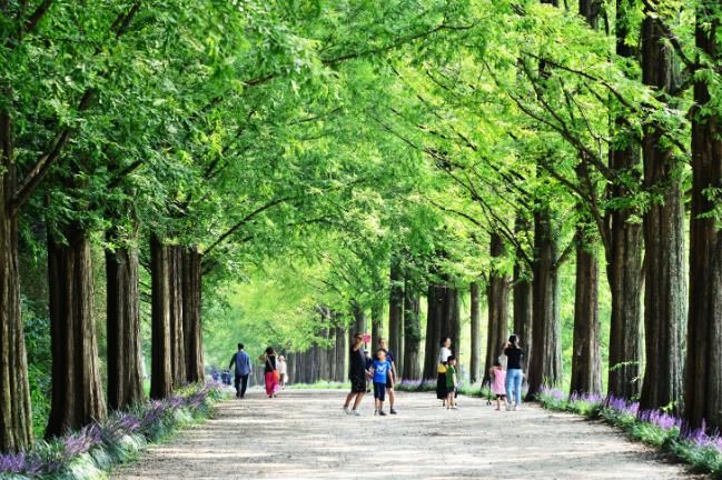 담양군 “고향사랑 기부하고, 담양여행 가자!” 담양군, 기부자 예우 차원 입장료 감면