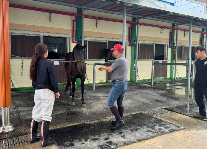 2024학년도 자영말산업과 제주시승마협회 김문철 회장 연습용 말 '크리스탈로즈' 기증
