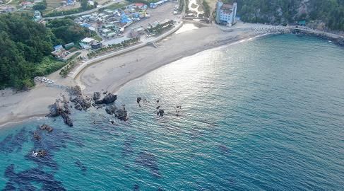 울진군 청정 피서지 울진군 해수욕장 7월 12일 개장