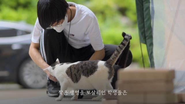 울산교육청, 한국 고양이의 날 맞아 제작한 영상 공개