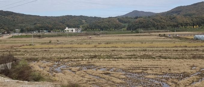 충도지구 대구획경지정리사업 대상지 전경