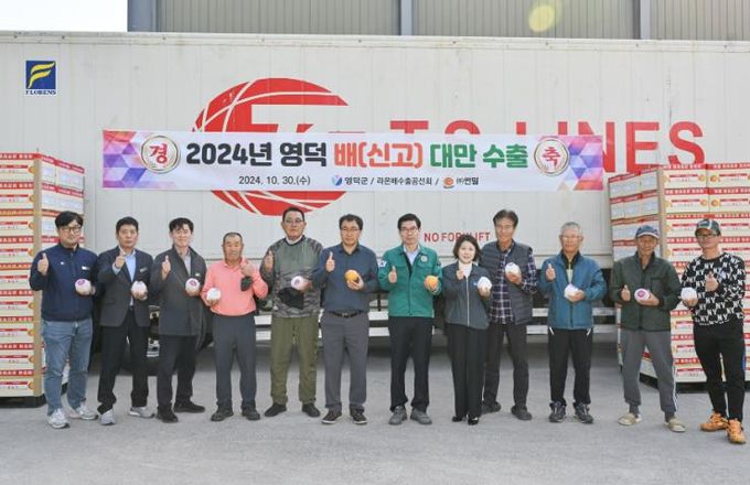 영덕군 당도 높은 영덕산 신고배, 매년 수출실적 호조
