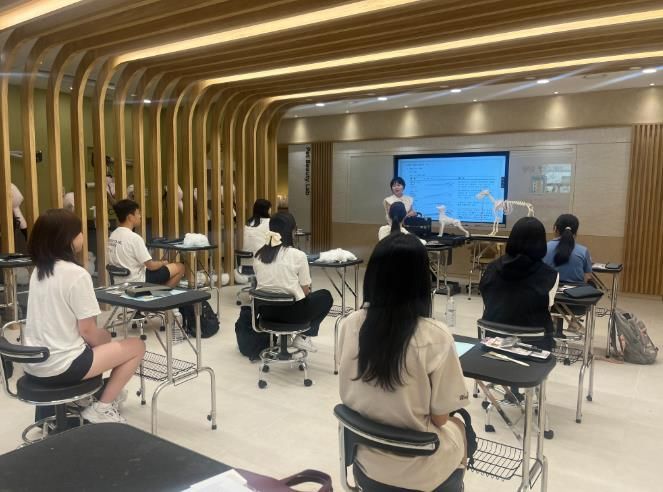 부산교육청, 학교서 듣기 힘든 창의·융합 강좌 개설