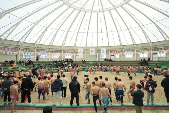 고성군, 스포츠 열정으로 가득 찬 겨울...지역경제에 따스한 바람