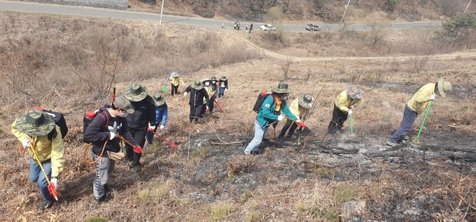 경북교육청, 의성 산불 진화에 총력 지원!