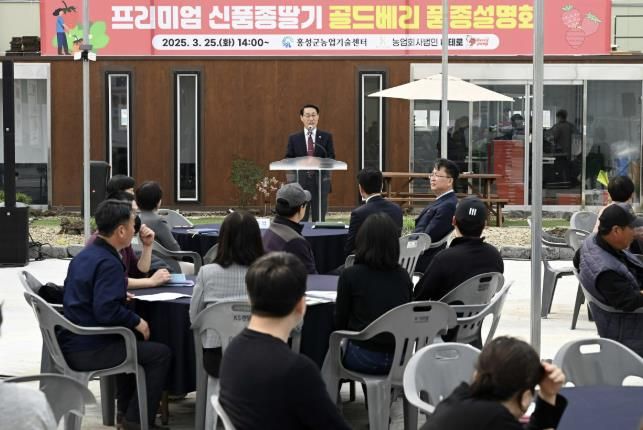 '홍성' 프리미엄 딸기 '골드베리' K딸기 왕좌 노린다!