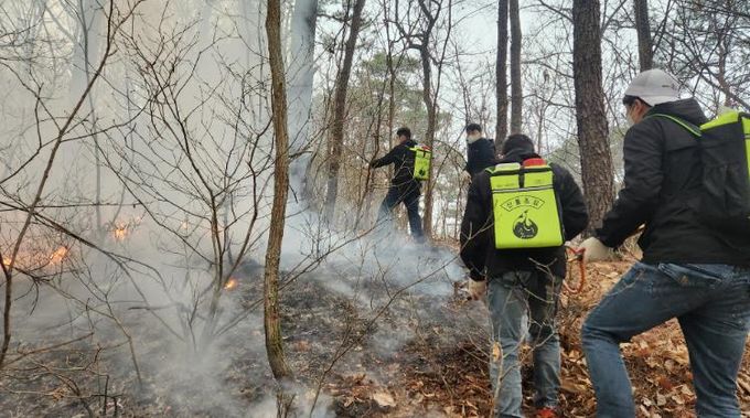 영양군, 산불진화에 총력전