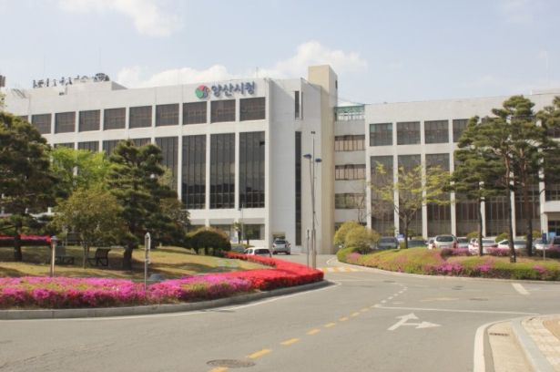 양산시, 2025 물금벚꽃축제 개최 취소