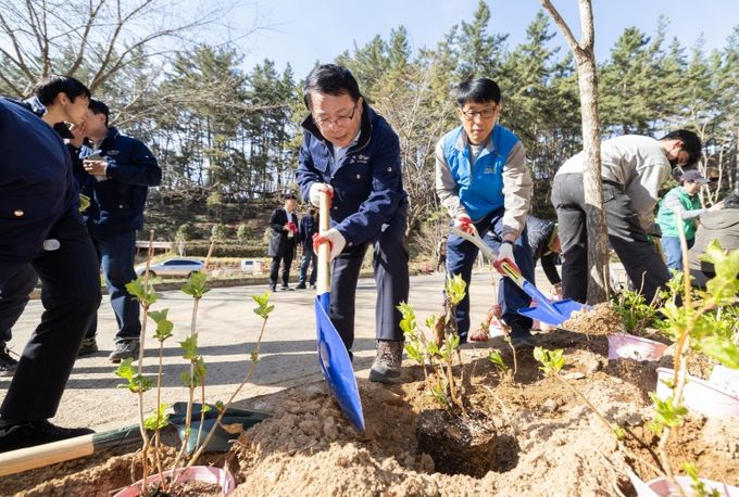 익산시, 식목일 맞아 '국립 치유의숲'에 생명 심다