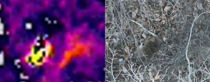 경남도, 봄철 아프리카돼지열병 방역 추진 강화