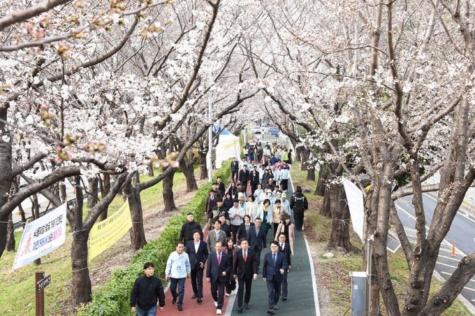 부산 사상구, 2025년 낙동강정원 벚꽃축제 개화식 개최