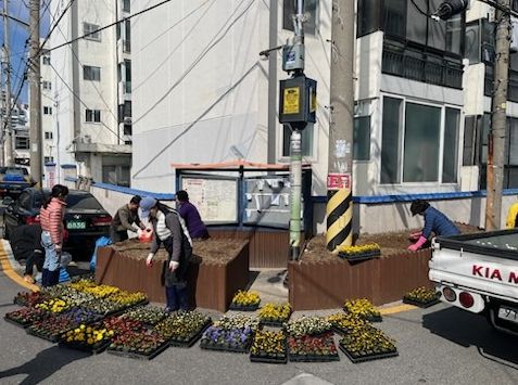 부산 동래구 사직3동 여고행복마을·바르게살기운동위원회, 봄 초화 식재