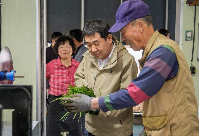 증평 장뜰부추, 올해 첫 출하