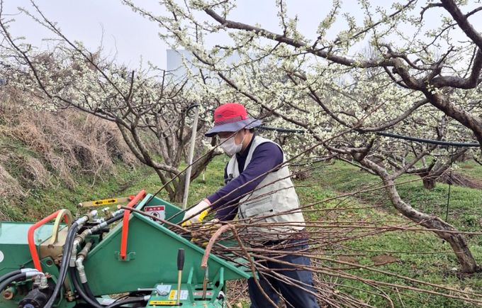 4-H연합회와 함께 ‘영농부산물 안전처리 지원사업