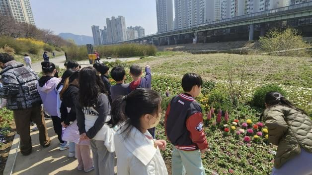 안양과천교육지원청 삼봉초등학교, '안양천 봄 생태학습' 실시