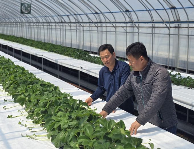 신규농업인 현장실습 통해 역량 강화