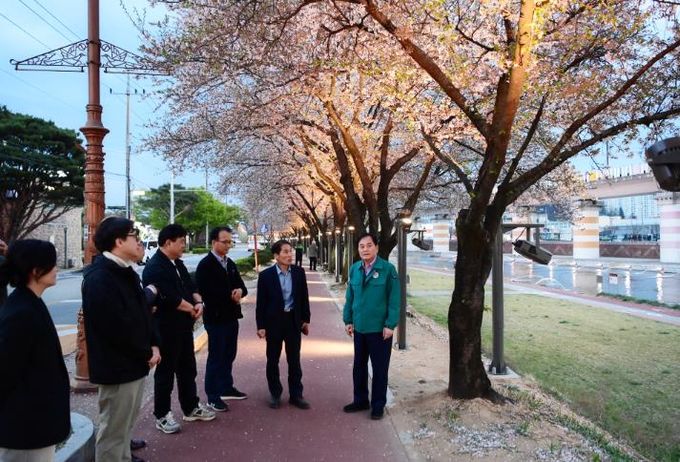 배낙호 김천시장 직지천 벚꽃길 현장점검 “시민과 소통하며 개선”