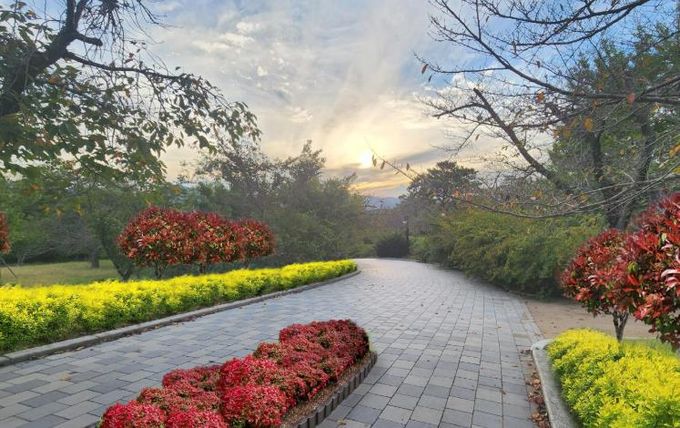 불국사 공원 전경