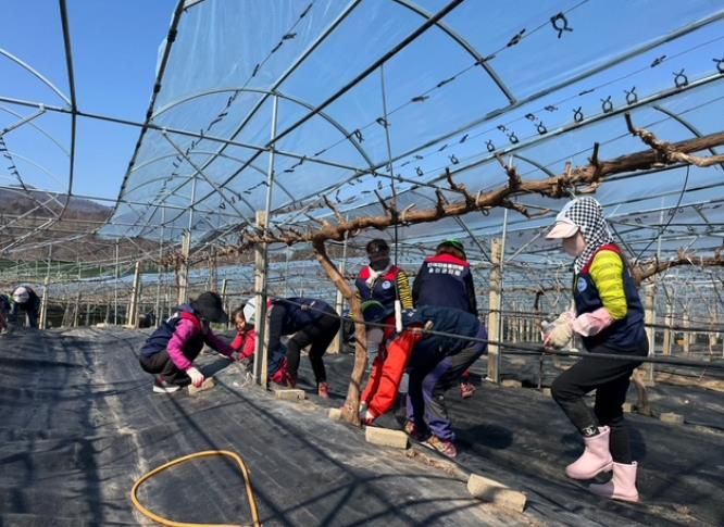 울진군 자원봉사자, 산불 피해 농가 복구작업 지원