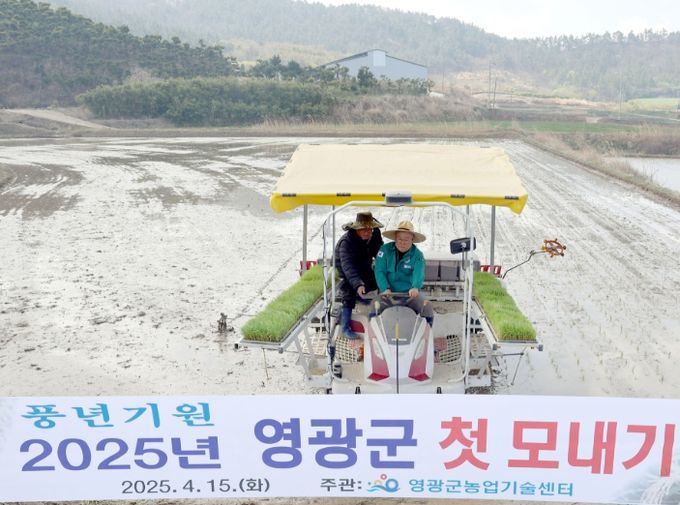 영광군, 2025년 첫 모내기