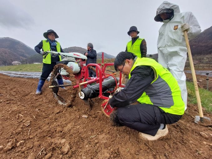 산불 피해 농가에 따뜻한 응원과 실질적인 도움을 드리다 영양군 농업기술센터 직원들, 산불피해 농가 일손 돕기