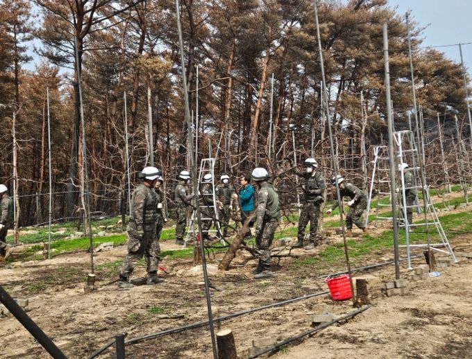 제50사단 영덕대대, 산불 피해 농가 일손지원