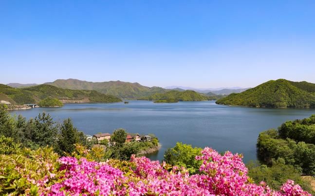 진안군 형형색색 꽃이 가득한 용담호로 오세요~!