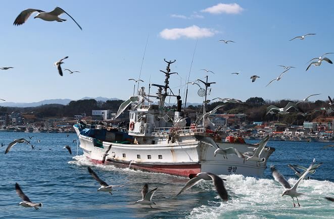 울진군, 어선원 재해보상 보험료 확대 지원