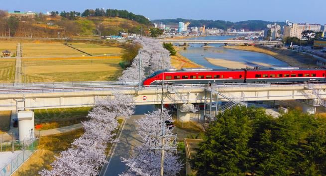 울진군-코레일 연계 해양레포츠 관광상품 출시…철도관광 활성화 기대