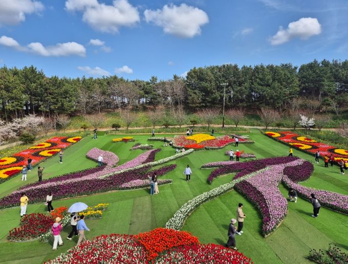 태안세계튤립꽃박람회 벤치마킹 방문
