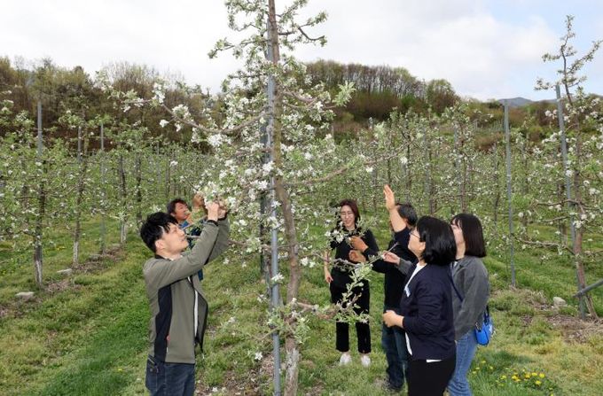 무주군 특화 품목 전문가 육성(멘토 멘티 현장실습)