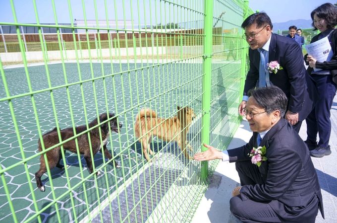 강기정 광주광역시장이 24일 오전 북구 본촌동에 들어선 '광주시 동물보호센터 개소식'에 참석해 센터에서 돌보고 있는 유기견을 살펴보고 있다./광주광역시 제공