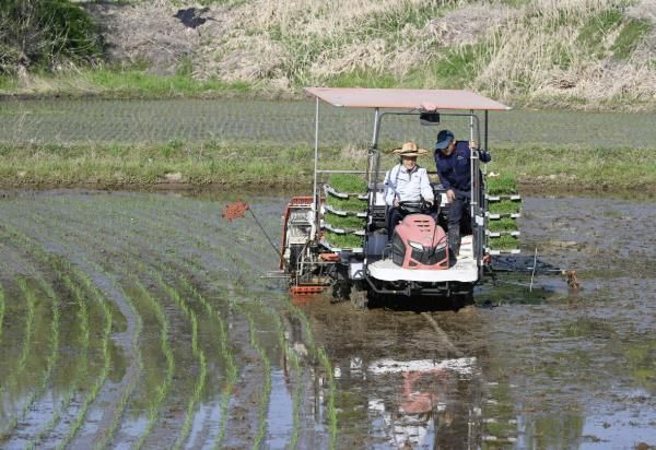 홍성군, 2025년 첫 모내기 실시
