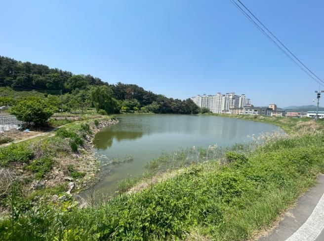 청도군, 2025년 맨발걷기길 조성 지원사업 공모 선정