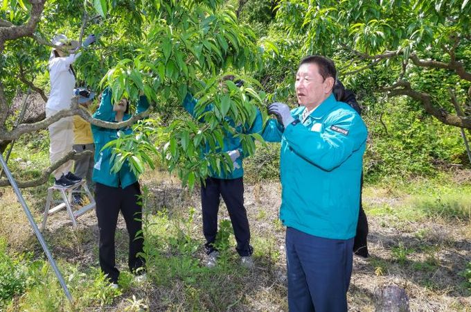 함안군, 농촌일손돕기 통해 일손 부족 농가에 힘 보태