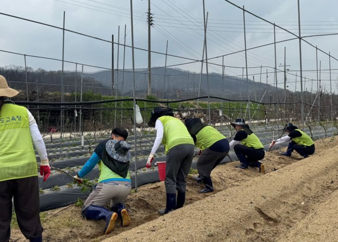 경북교육청, 대형 산불 피해지역 복구에 팔 걷어!