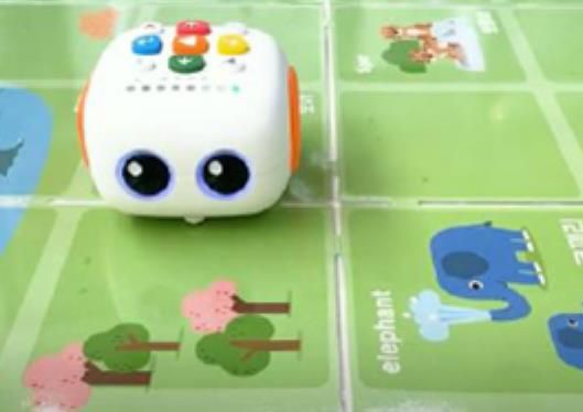 코딩로봇(테일봇)