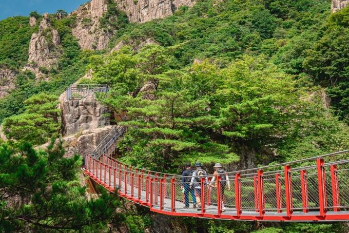 대둔산축제프로그램참가자모집