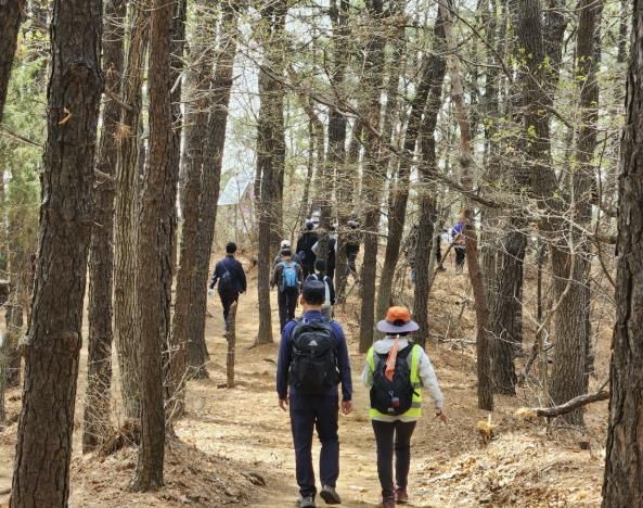 울창한 숲길이 이어지는 고봉누리길