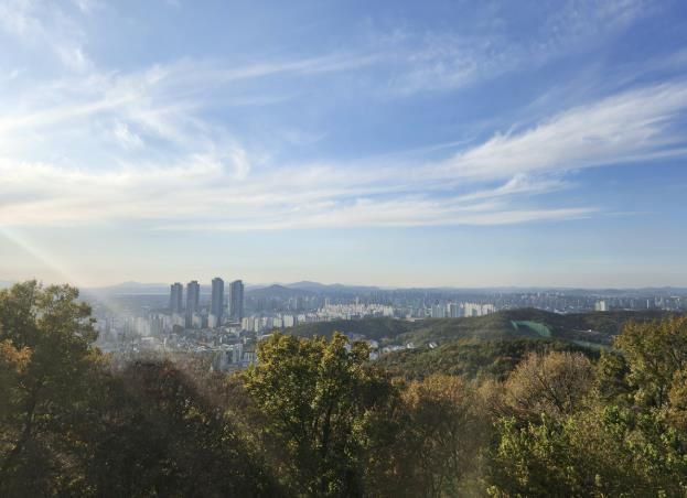 고봉산 전망대에서 보이는 풍경